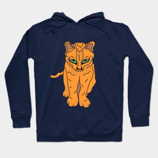 Little tiger Hoodie